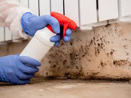 Best Comprehensive Air Testing for Mold Contaminants  in Macdonnell Heights, NY